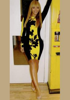 Beyonce Floral Style Long Sleeve Bodycon Dress