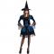 Blue Gothic Witch Adult Halloween Costume 