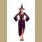 Adult Purple and Brown Salem Witch Costume