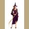 Adult Purple and Brown Salem Witch Costume