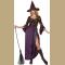 Adult Purple and Brown Salem Witch Costume