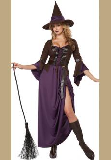 Adult Purple and Brown Salem Witch Costume