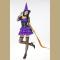 Women's Adult Purple Witch Halloween Costume