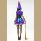 Women's Adult Purple Witch Halloween Costume