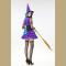 Women's Adult Purple Witch Halloween Costume