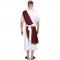 Ancient Greek Men Roman Toga Caesar Party Fancy Dress Costume