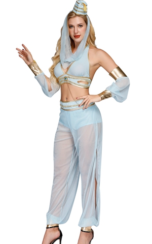Dreamy Genie Costume
