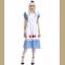 Adorable Blue and White Puff Sleeve Dress Wonderland Cosplay Costume with Poker Apron