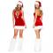 SANTA 'S GIFT COSTUME FOR ADULTS