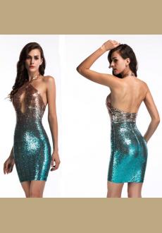 Sequined Sleeveless Nightclub Evening Cocktail Dress