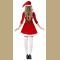 Women Christmas Costume