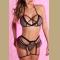 Black Lace Trim Mesh Patchwork Halter Neck Lingerie Set